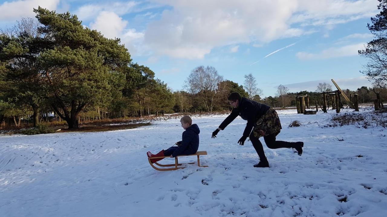 Op De Veluwe # Eiken *