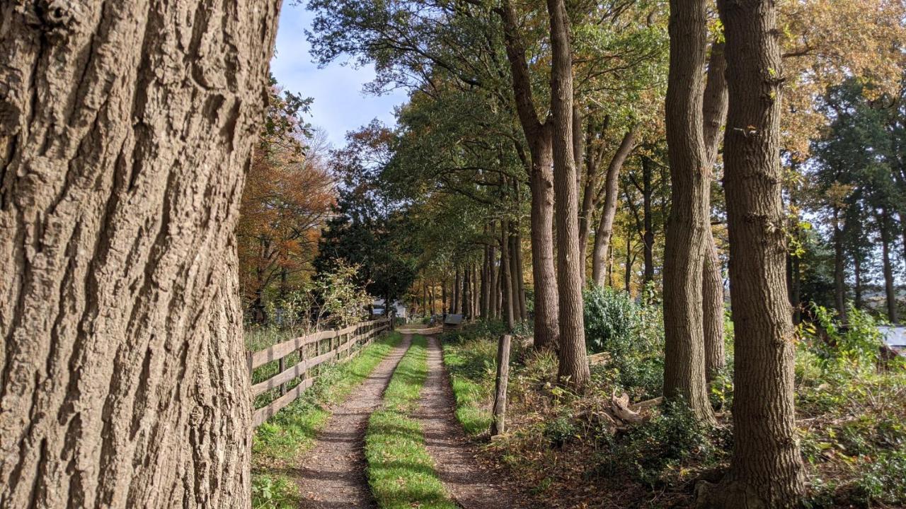Op De Veluwe # Eiken Putten