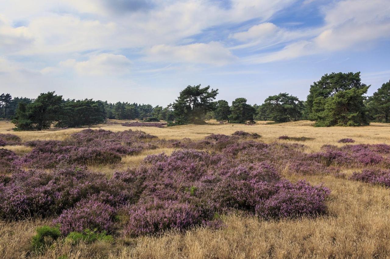 Op De Veluwe # Eiken Putten