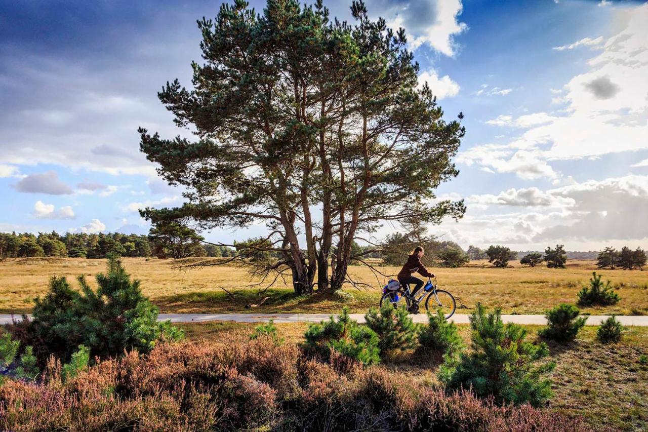 Op De Veluwe # Eiken *