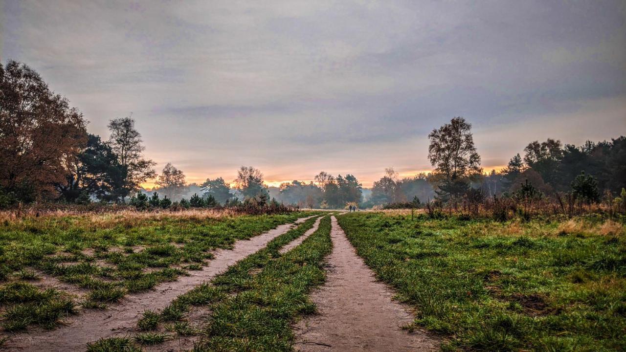 Op De Veluwe # Eiken