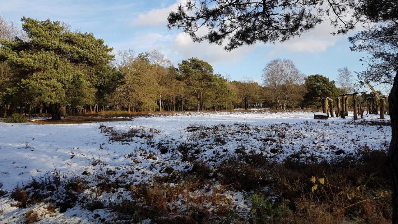 Op De Veluwe # Eiken *