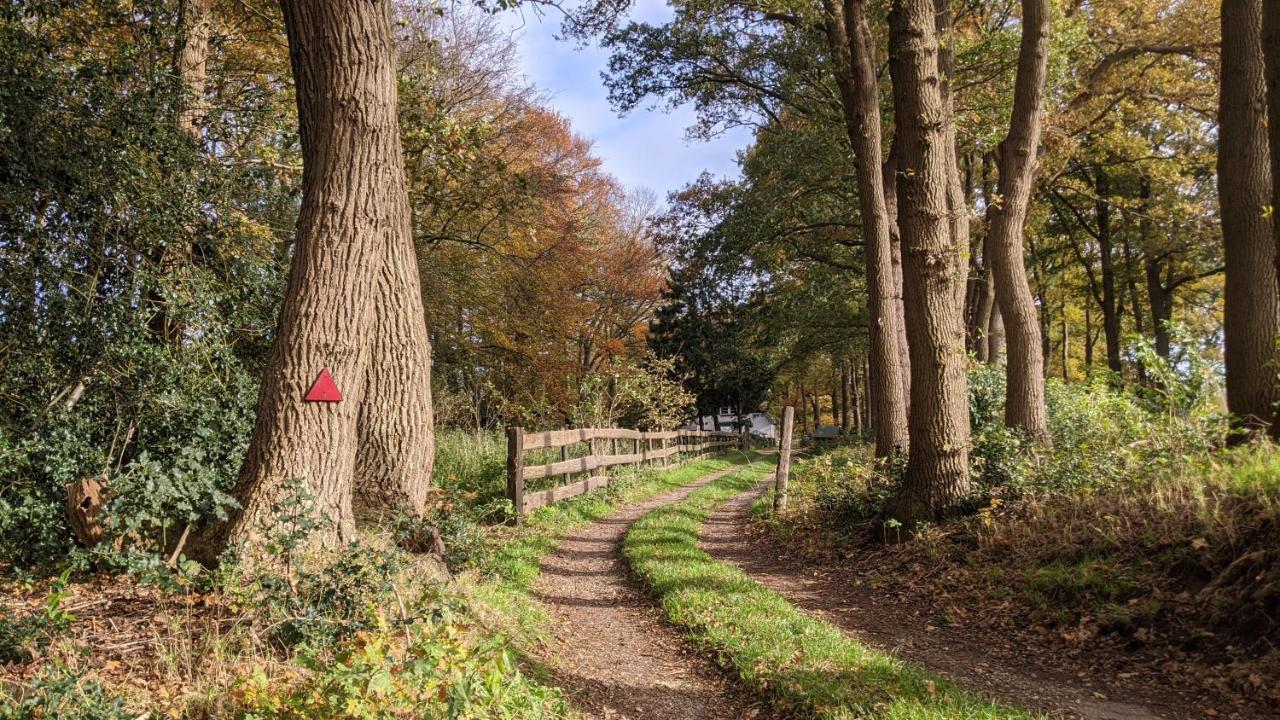 Op De Veluwe # Eiken